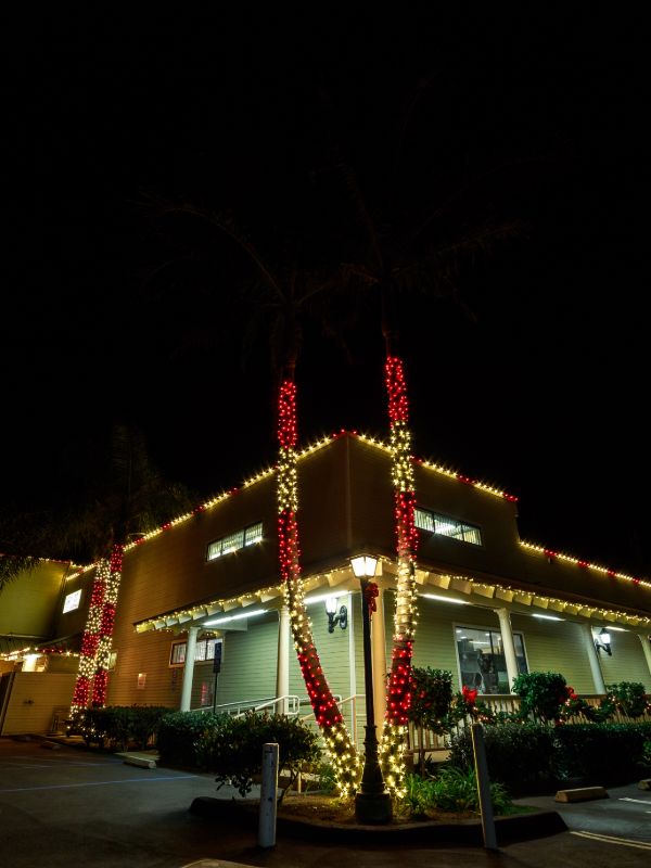 surf shop decorated with candy cane red and white lights